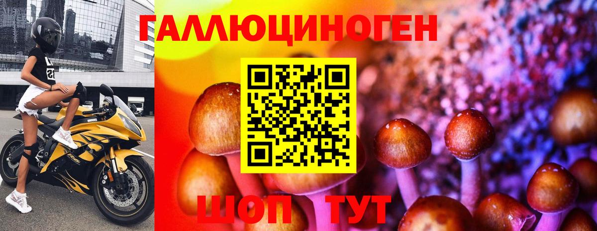 Галлюциногенные грибы GOLDEN TEACHER Родники